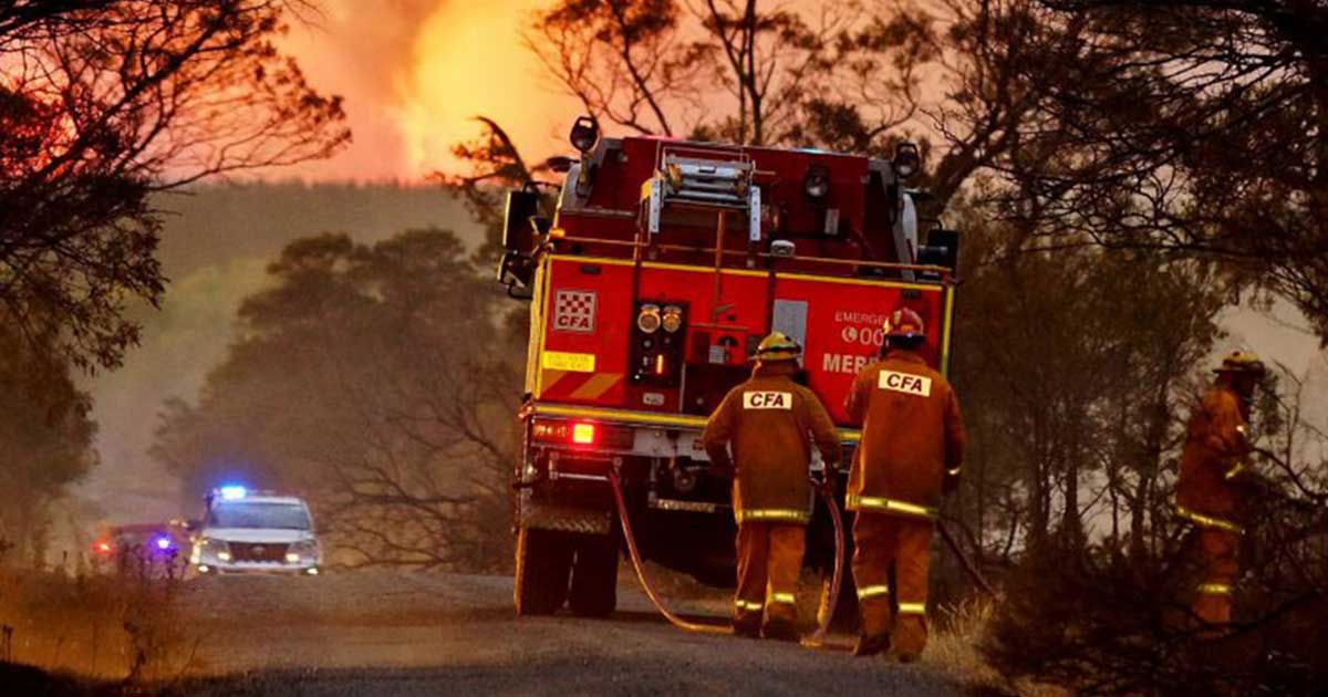 Bushfire Recovery Victoria to guide rebuilding and recovery Business